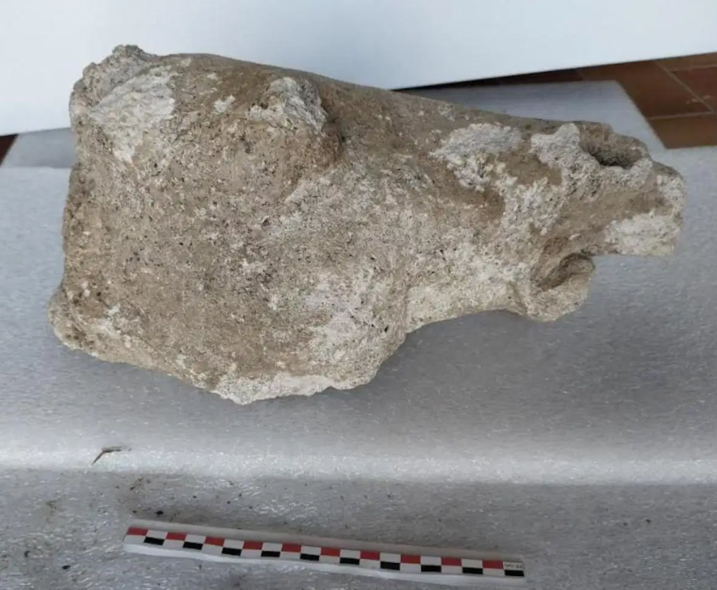 Viện Nghiên cứu Khảo cổ Quốc gia Pháp cho rằng, tác phẩm điêu khắc này có thể được đặt trong một hốc tường phía trên cổng thành, vừa có tác dụng trang trí, vừa mang tính tuyên bố chính trị, cho đến khi nó bị chôn vùi sau khi cổng thành này bị phá hủy. Ảnh: @Viện Nghiên cứu Khảo cổ Quốc gia Pháp.