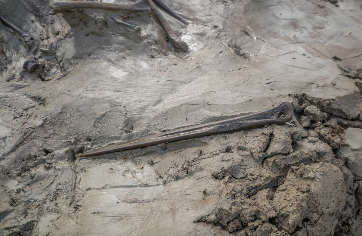 Song song với bộ hài cốt chó, nhóm chuyên gia còn tìm thấy bên cạnh là một con dao găm dài 25 cm, nó được làm hoàn toàn bằng xương. Ảnh: @Bảo Tàng Quốc Gia Thụy Điển.