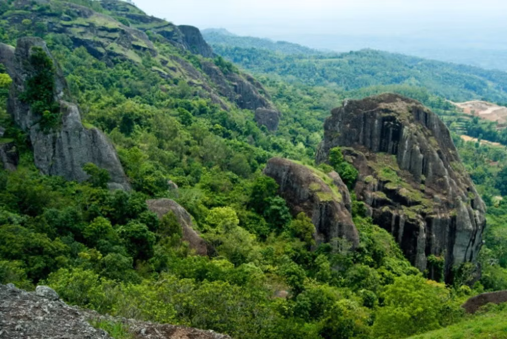 Theo nhà hoạt động di sản văn hóa KH Fajar Laksana tuyên bố: “Đây là một khám phá rất hứa hẹn. Mặc dù Núi Tangkil vẫn chưa được công nhận là di tích văn hóa chính thức, nhưng những khám phá rải rác ở các địa điểm gần đó - bao gồm một cột đá menhir ở Làng Tugu và những tàn tích đá tương tự trên Núi Karang - đã củng cố giả thuyết rằng, khu vực này từng là một phần của mạng lưới đá cổ rộng lớn hơn ở Tây Java”. Ảnh: @Bảo tàng Prabu Siliwangi.