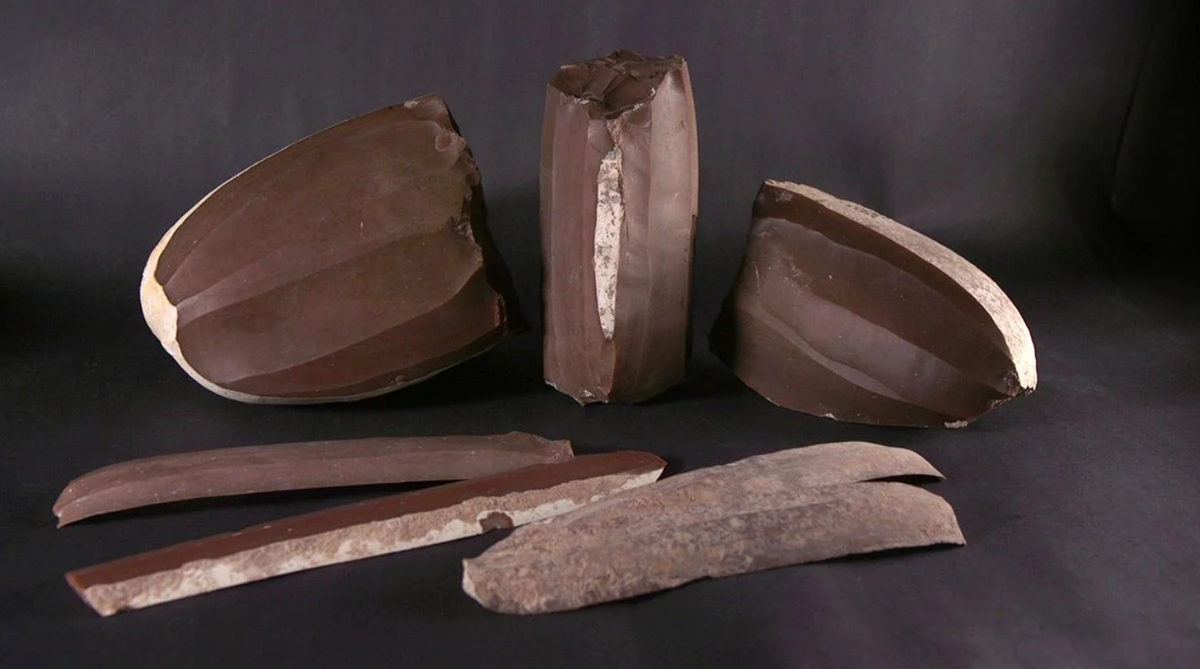 Theo thông cáo báo chí của Cơ quan Cổ vật Israel, những con dao dài và sắc này được rèn từ những lõi đá lửa lớn. Đây một phát hiện đặc biệt hiếm gặp chưa từng có ở miền Nam Israel. Ảnh: @Cơ quan Cổ vật Israel (IAA).