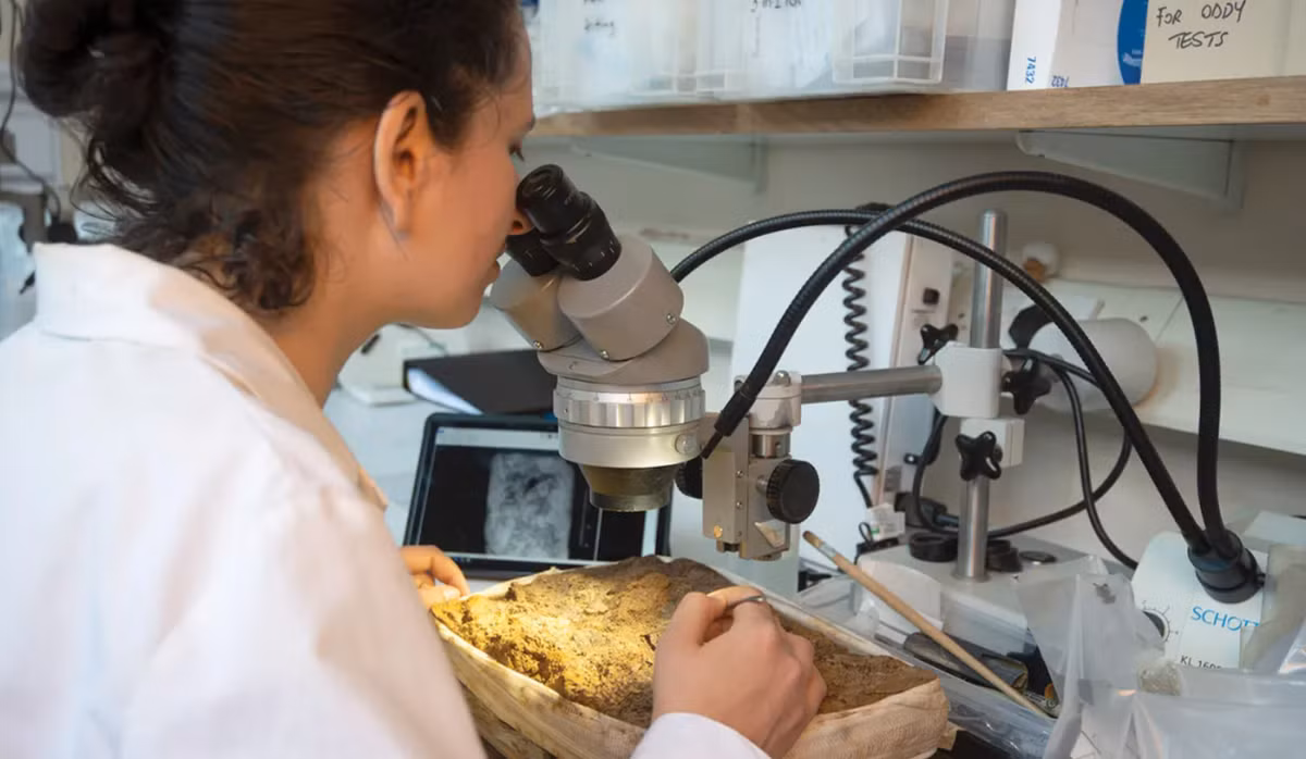 Các nhà nghiên cứu cho biết, phát hiện này đang làm sáng tỏ thêm về cấu trúc xã hội của Siberia Thời Trung Cổ và vai trò của địa vị xã hội ngay từ khi còn nhỏ của trẻ em. Ảnh: @Đại học Sư phạm Quốc gia Novosibirsk.