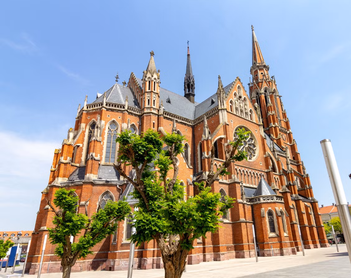 Trong quá trình xây dựng thư viện đại học tại thành phố Osijek của Croatia, các nhà khảo cổ học đã tình cờ phát hiện ra một hiện vật rùng rợn và kịch tính. Ảnh: @M. Novak và cộng sự.