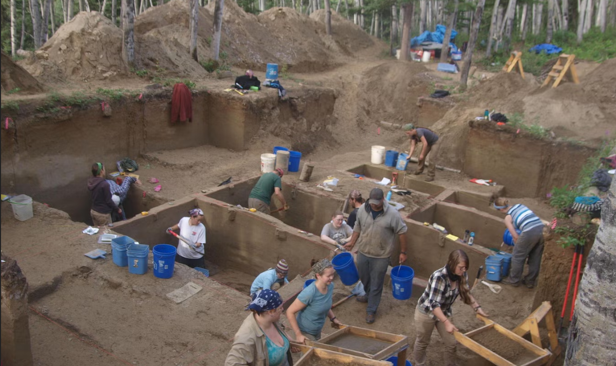 Các hiện vật được tìm thấy bao gồm mảnh vụn đá, tàn tích bếp lửa, xương động vật và một chiếc ngà voi ma mút lớn, tất cả đều được bảo quản trong các lớp trầm tích. Ảnh: @Krasinski.