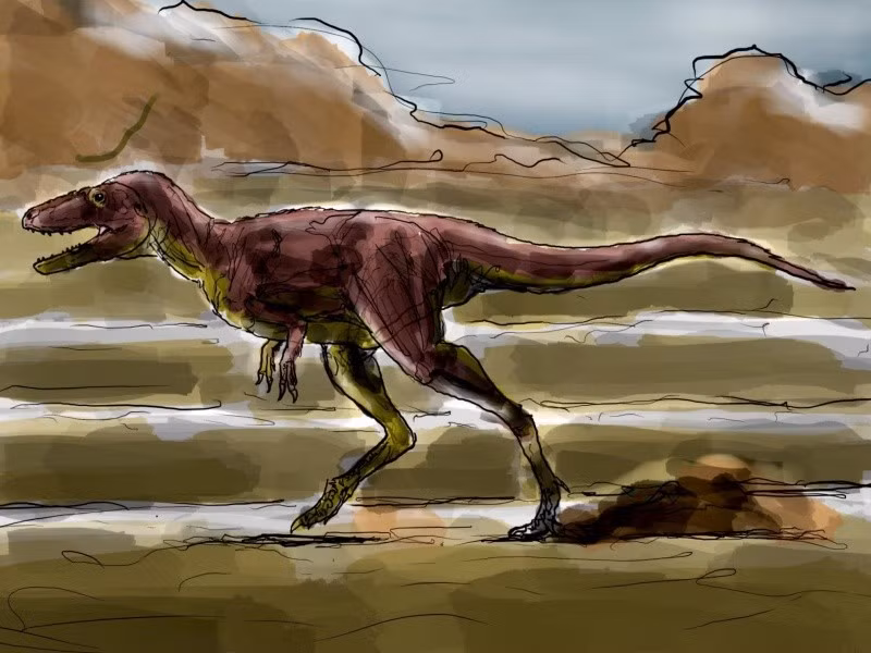 Giáo sư Zelenitsky kết luận một cách hình ảnh: "Phát hiện này cho chúng ta biết rằng, trước khi trở thành vua của muôn loài (ám chỉ T-Rex), khủng long bạo chúa từng chỉ là hoàng tử. Khám phá Khankhuuluu mongoliensis không chỉ làm phong phú thêm kiến thức về thế giới khủng long mà còn cung cấp một mảnh ghép quan trọng vào bức tranh phức tạp về sự tiến hóa của một trong những nhóm săn mồi thành công nhất lịch sử Trái đất.