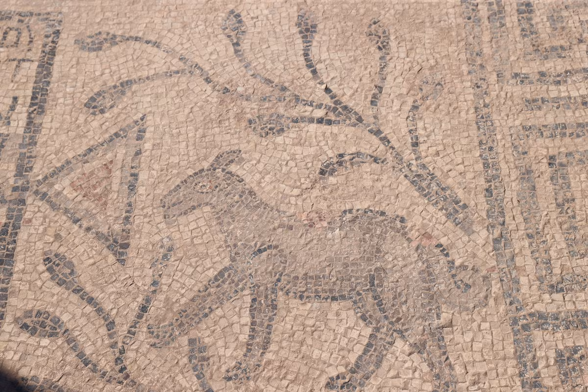 Bức tranh sàn khảm được tạo thành từ các viên đá khảm đen, trắng và đỏ, với các họa tiết mô tả động vật, thực vật và một dòng chữ Hy Lạp. Ảnh: @Bảo Tàng Quốc Gia Thổ Nhĩ Kỳ.