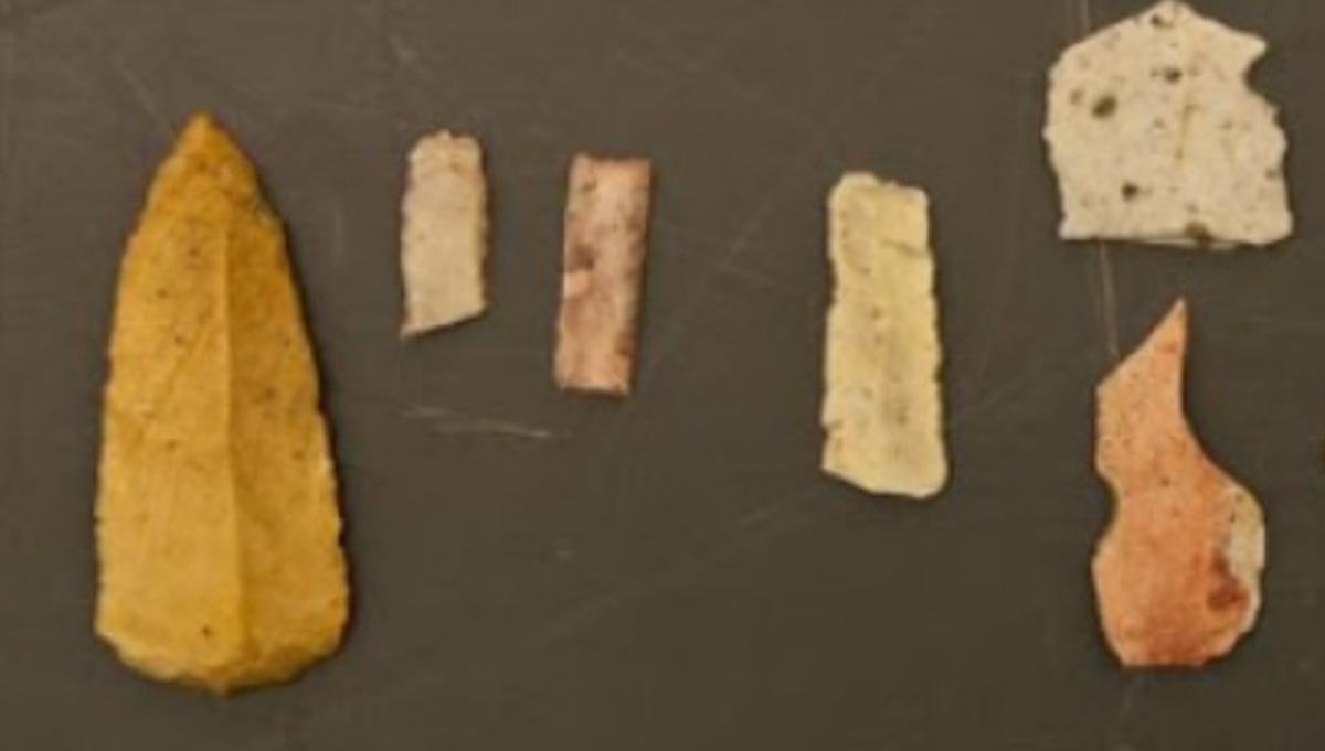 Chúng bao gồm các công cụ bằng đá được chạm khắc và tạo hình để cạo và cắt, cũng như các đầu mũi tên. Ảnh: @Swissinfo.