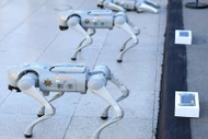 Mexico tung biệt đội chó robot K9-X bảo vệ World Cup 2026