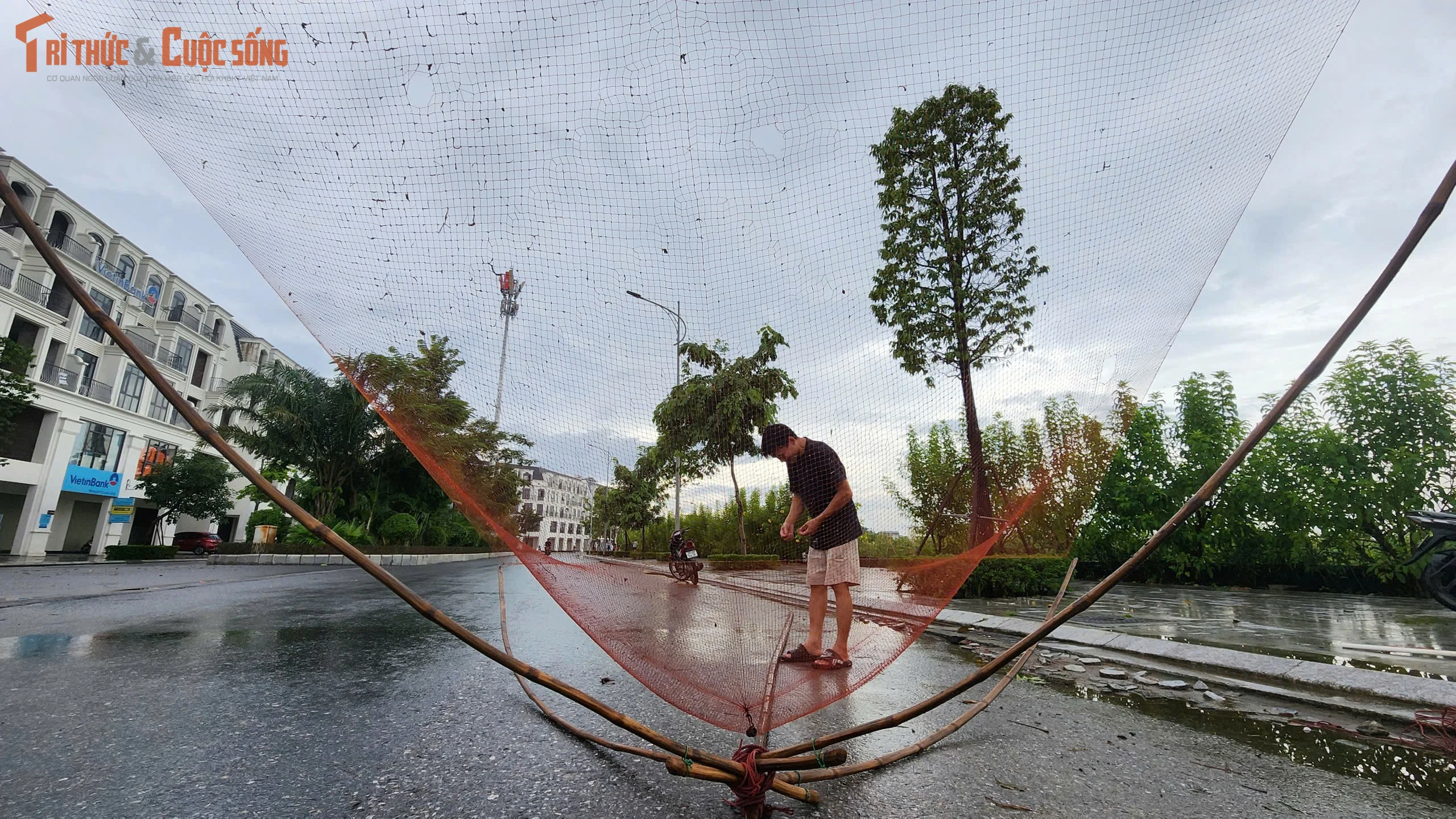 Nước ngập tràn, người dân Hà Nội đổ xô tung lưới bắt cá