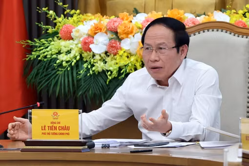 Phó thủ tướng: Không để cơ chế giữ chỗ điện gió ngoài khơi