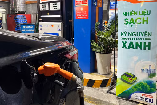 [VIDEO] Xăng E10 bắt buộc từ 1/6: Ford, Toyota, Hyundai nói gì?