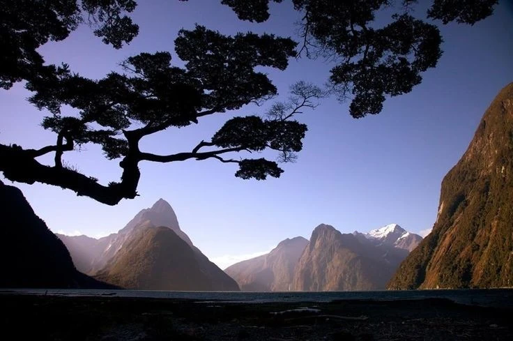 Điều đặc biệt ở nơi hoang sơ bậc nhất New Zealand