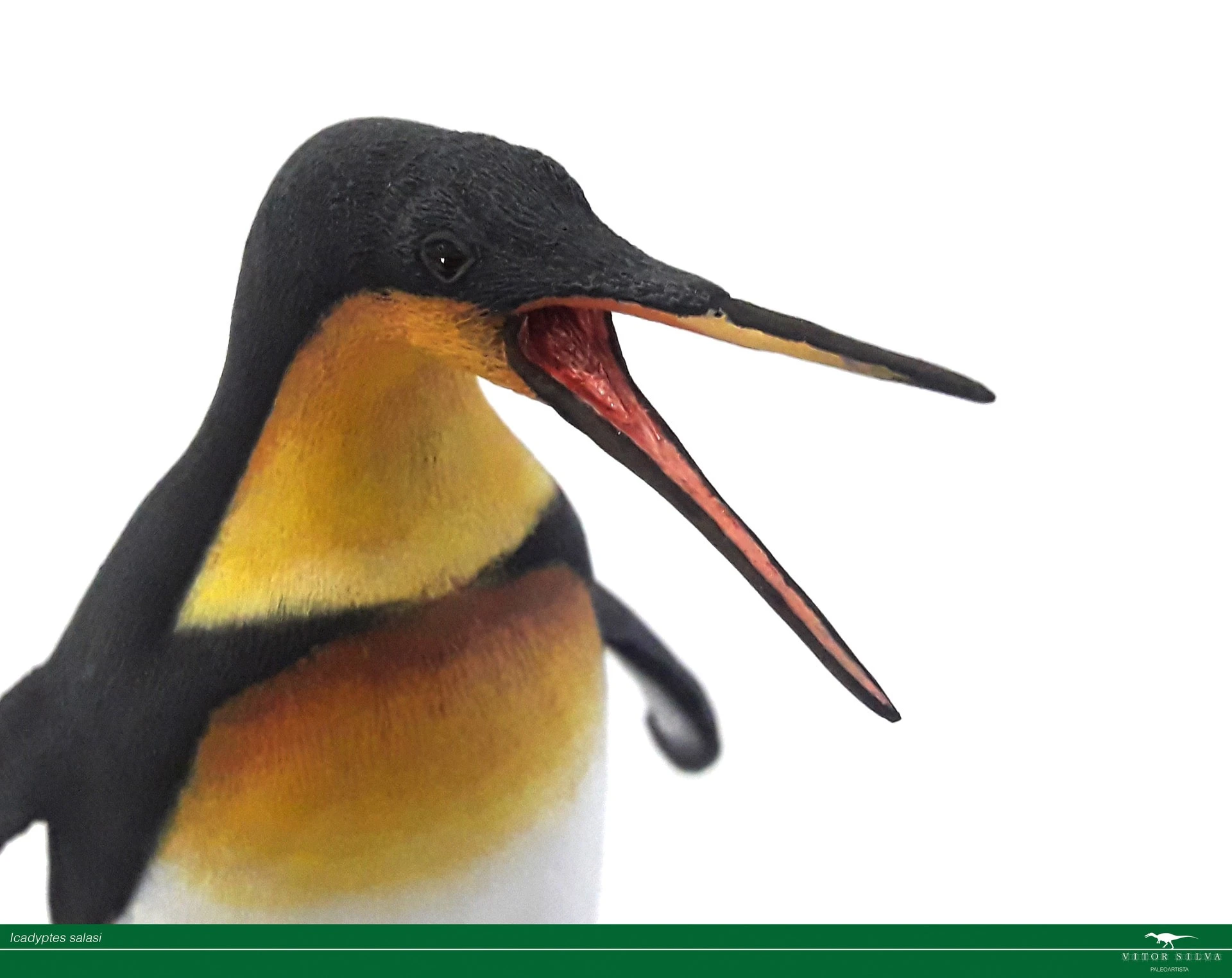 Loài chim cánh cụt khủng khiếp nhất Trái Đất, có mỏ đầy uy lực