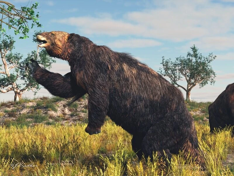 Ác mộng loài vật đứng 2 chân, cao 6 mét, đầy móng sắc nhọn