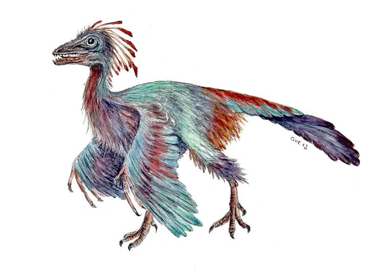 'Chim nguyên thủy' nổi tiếng nhất hành tinh giấu bí mật tiến hóa khủng long
