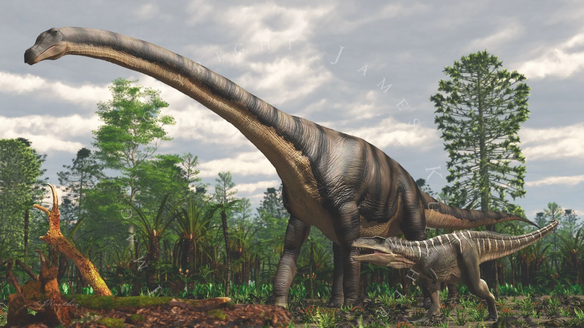 Sốc với loài vật lớn nhất hành tinh, nặng bằng 18 con voi