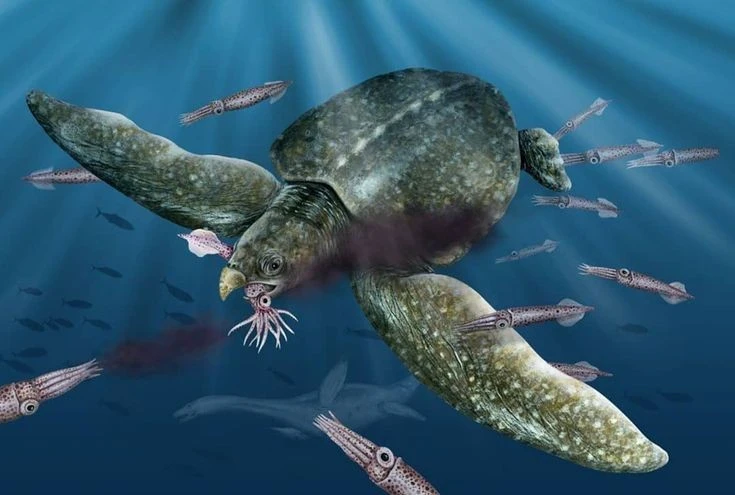 Tận mục loài rùa biển lớn nhất từng tồn tại, dài 5 mét 