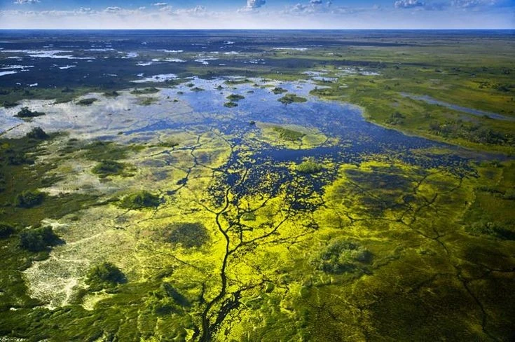 Chiêm ngưỡng kỳ quan thiên nhiên độc nhất vô nhị của Botswana