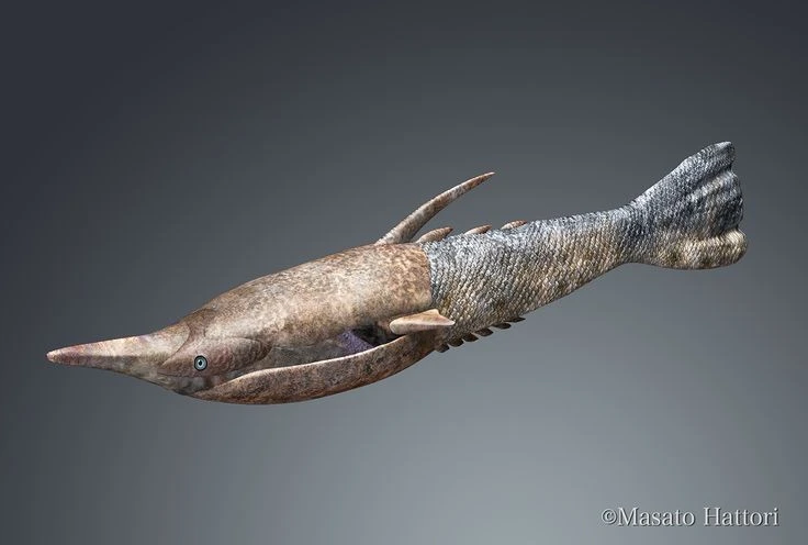 Loài cá 'ngầu' nhất hành tinh, toàn thân bọc giáp cứng như thép