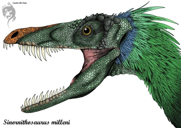 Choáng với loài khủng long có độc, cơ thể phủ đầy lông vũ 