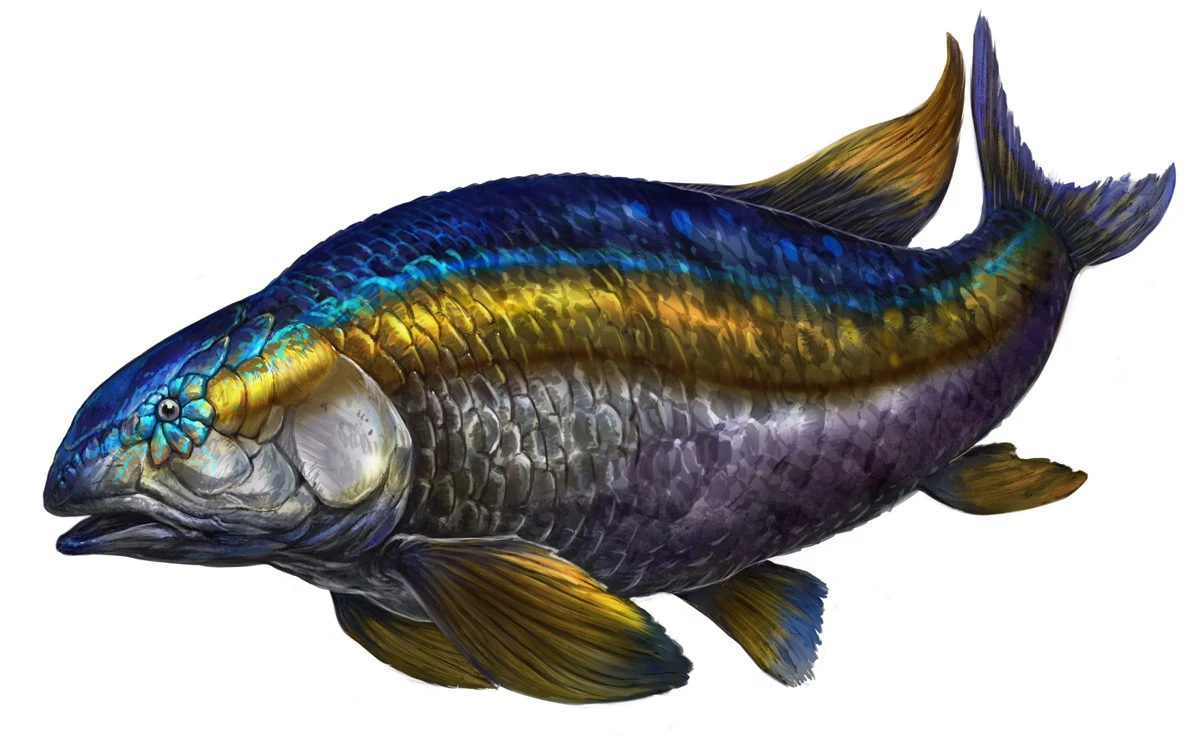 Loài cá có vảy sáng rực, từng thống trị hồ nước thời khủng long 