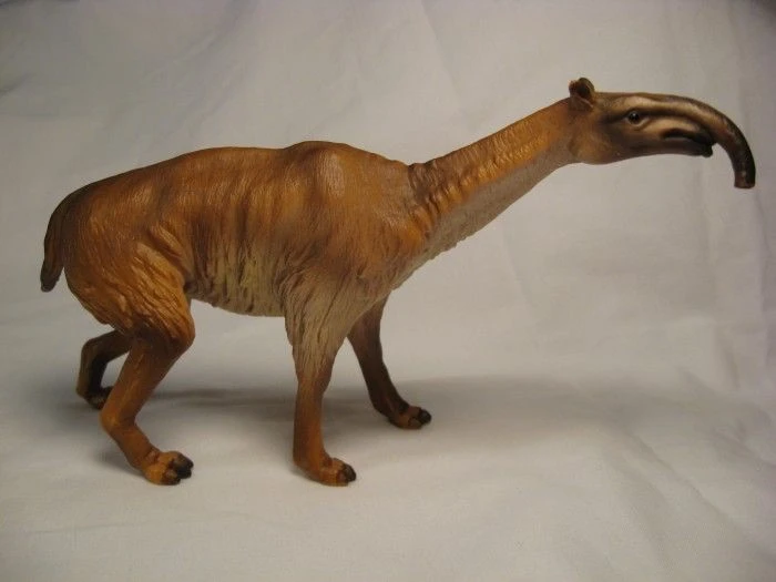 Loài vật kỳ lạ nhất hành tinh, cổ dài như hươu, chân ba ngón, có vòi