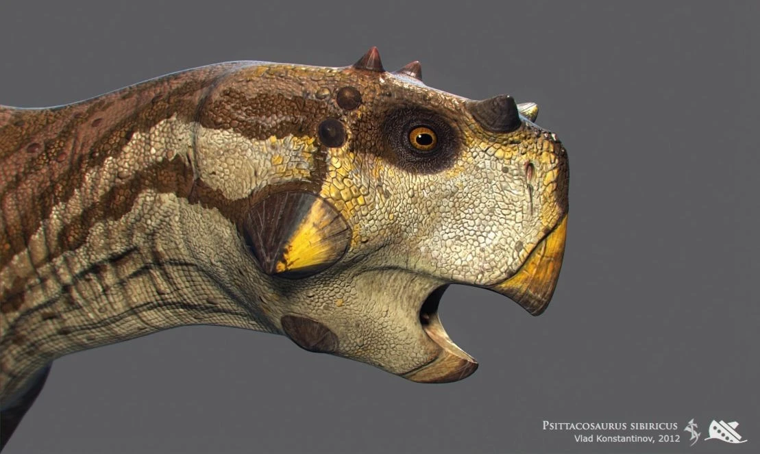 Hình thù kỳ lạ của loài khủng long ăn cỏ cổ xưa nhất thế giới