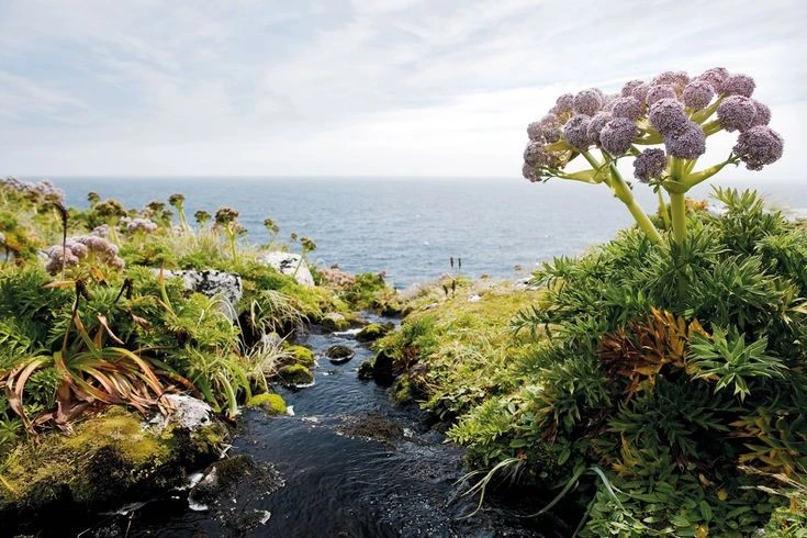 Vẻ đẹp nguyên thủy của quần đảo hoang sơ nhất thế giới 