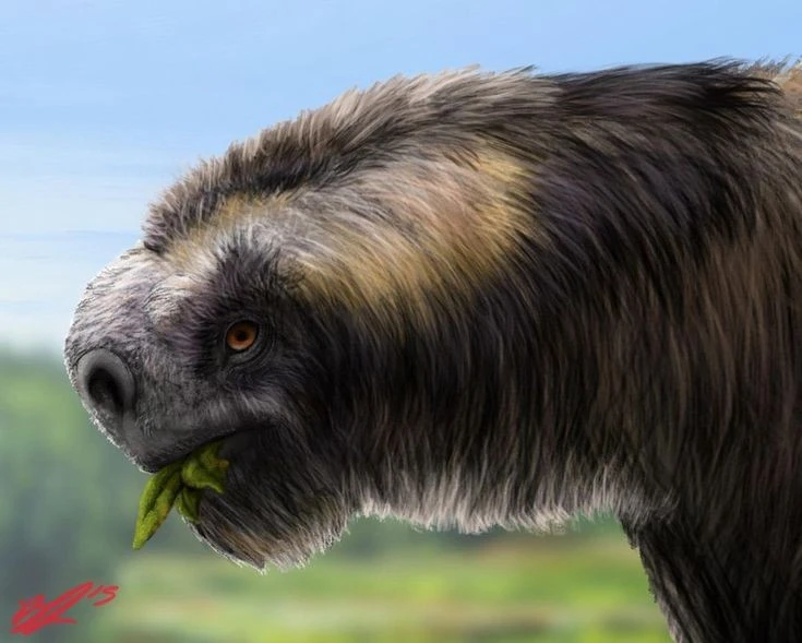 Choáng với loài vật nặng 1 tấn, móng vuốt dài 20 cm 