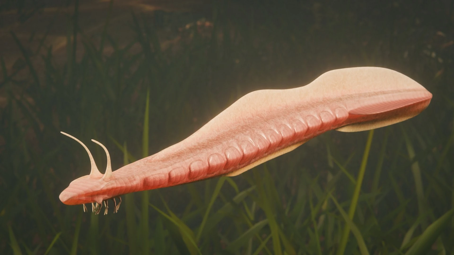 Sinh vật được coi là 'ông tổ' của mọi loài động vật có xương sống