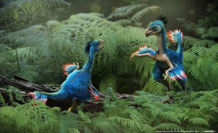 View - Loài khủng long tí hon cơ thể đầy lông vũ, có 'cánh' ở đuôi | Báo Tri thức và Cuộc sống - TIN TỨC PHỔ BIẾN KIẾN THỨC 24H