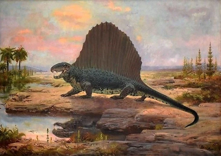 Tận mục tổ tiên của các loài động vật có vú, lưng đeo cánh buồm khủng