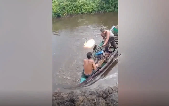 Cậu bé bị cá sấu cắn tử vong vì xuống sông nhặt bóng