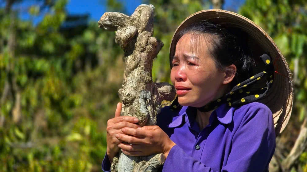 Bắt giữ anh rể phá hoại, chặt hết vườn quả nhà em vợ