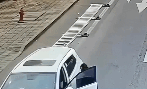 Tài xế xuống xe quên tắt máy, chó cưng "lái" ôtô gây tai nạn