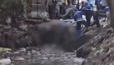 Phát hiện thi thể người phụ nữ dưới mương nước ở quận 6