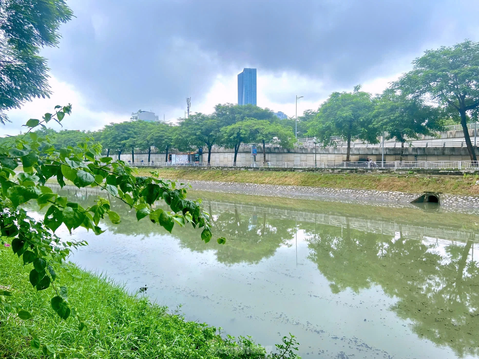 Nước sông Tô Lịch lại xanh hơn sau bão số 3