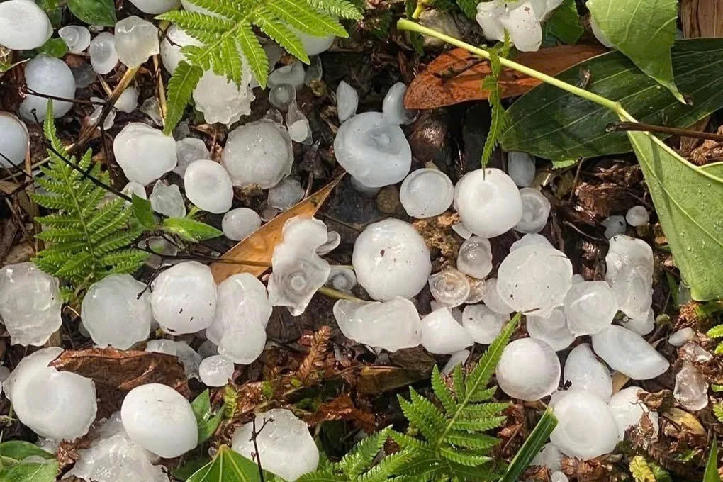 Mưa đá trắng trời Hà Giang, đá to như trứng phủ kín mặt đường