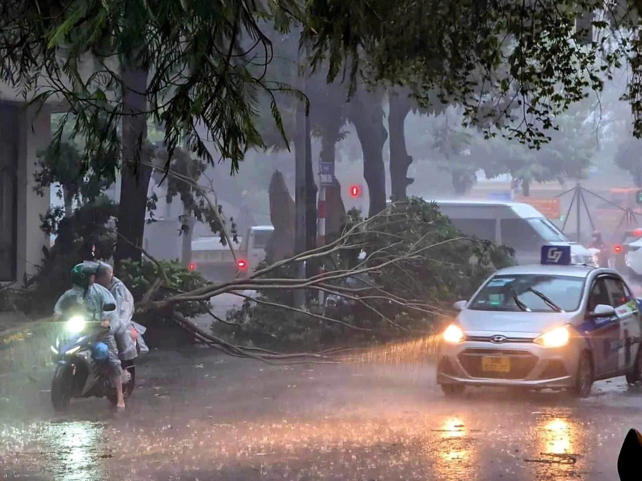 Hà Nội đón cơn mưa đầu của siêu bão, cây gãy đè chết người