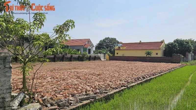 Hơn 800 mét vuông đất trồng bị trưởng thôn tự ý san lấp