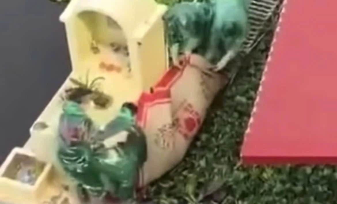 Cháu trai học cấp 3 sát hại bà nội, thi thể ở dưới ao