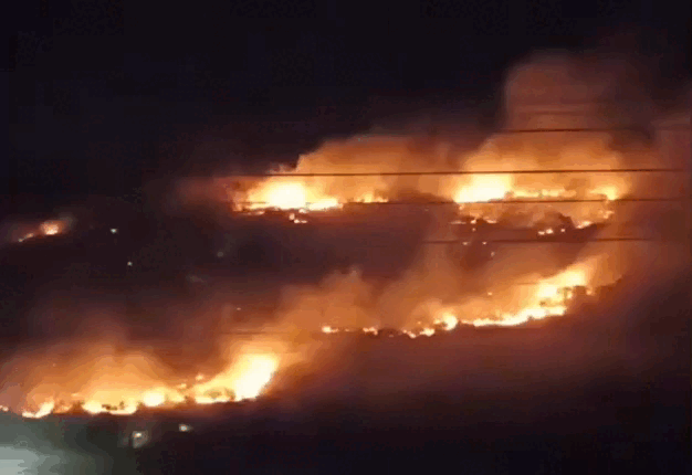 Cháy đồi hoa bằng lăng gần núi Tàu ở Bình Thuận