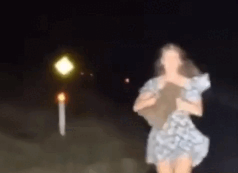 Nữ influencer bắt gấu túi con để chụp hình, gấu mẹ hoảng loạn