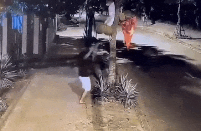 Người đi Mercedes bị tố hái trộm mít giữa đêm khuya