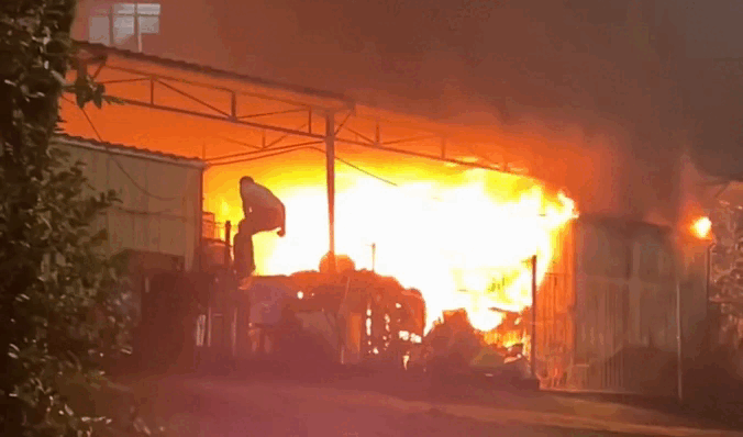 Hai người đàn ông lao vào biển lửa cứu hàng chục con mèo