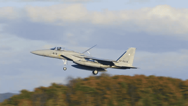 Ngoài việc cải thiện khả năng sẵn sàng hoạt động của lực lượng không quân, chương trình này còn nhấn mạnh mối quan hệ hợp tác giữa Nhật Bản và các công ty quốc phòng Mỹ và nêu bật vai trò của Nhật Bản như một nước dẫn đầu về an ninh khu vực.