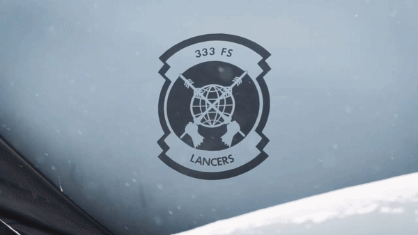 Năm 1981, chiếc F-15J đầu tiên, được xuất xưởng, được chuyển giao và nhanh chóng tích hợp vào các đơn vị tác chiến của lực lượng phòng vệ Nhật Bản.