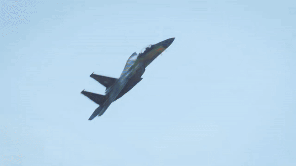 Cho tới giai đoạn thập niên 1990, khoảng 200 máy bay F-15J và F-15DJ (phiên bản huấn luyện hai chỗ ngồi) đã được sản xuất.