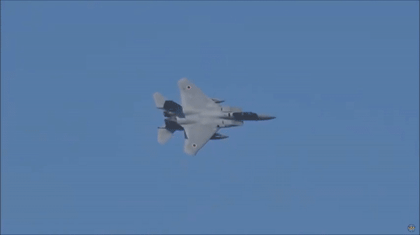 Ra mắt vào năm 1981, F-15J là phiên bản được cấp phép của F-15C/D Eagle của Mỹ, với Mitsubishi Heavy Industries đóng vai trò là nhà thầu chính.