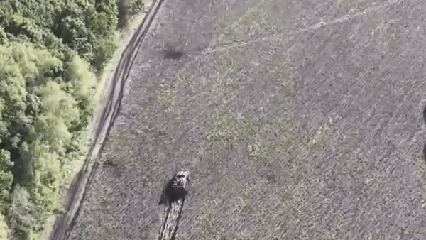 Deep Sate, nhóm phân tích có liên hệ với quân đội Ukraine hôm 16/10 công bố video cho thấy, một xe thiết giáp BTR-82A Nga di chuyển trên cánh cánh đồng ở tỉnh Kursk của Ukraine.