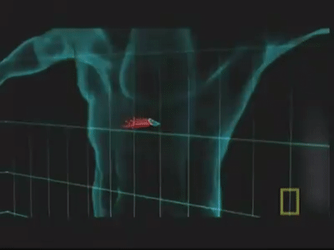 Do sử dụng cỡ đạn nhỏ, gia tốc đầu nòng của viên đạn 5,56x45 mm là cực kỳ nhanh lên đến 960m/s. Khi đâm xuyên vào cơ thể, phần đầu của viên đạn sẽ bị cản lại trong khi đó phần đuôi vẫn tiếp tục duy trì được gia tốc di chuyển, dẫn tới việc viên đạn sẽ bị lộn ngược khi đi sâu vào trong cơ thể. Nguồn ảnh: Gify.